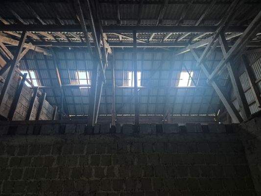 Dach Stallgebäude.jpg