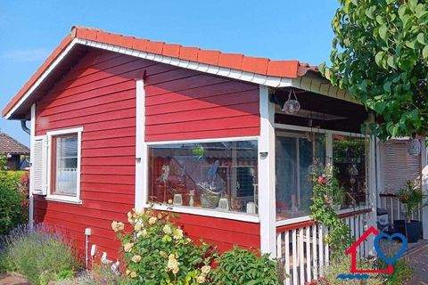 Hohenfelde Häuser, Hohenfelde Haus kaufen