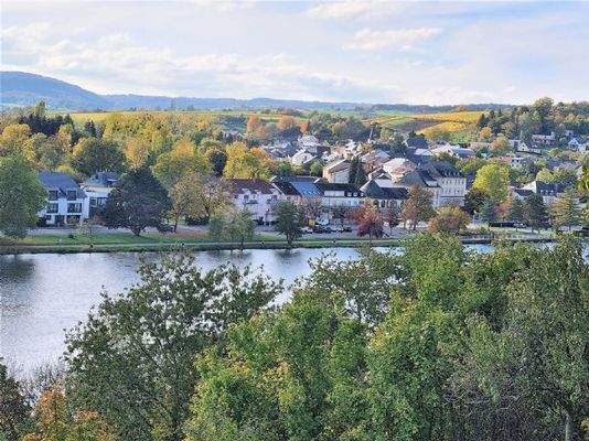 Palzem_Roemerstrasse_vom-Haus-Blick-auf-Wormeldang