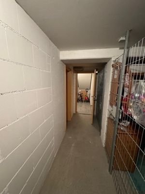 Blick in den Keller II.