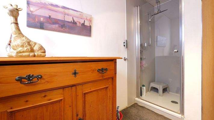 185 Tageslichtbad mit Dusche  (1 von 1).jpg