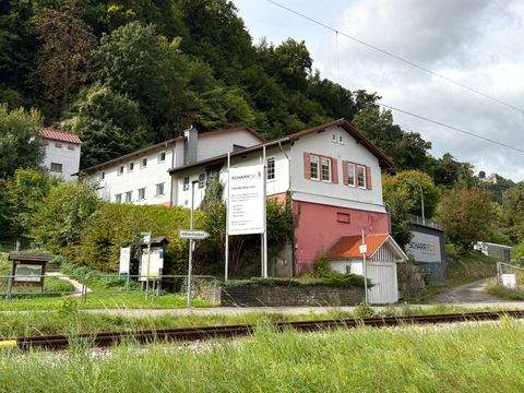 Bad Urach Halle, Bad Urach Hallenfläche