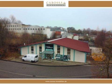 Ergoldsbach Halle, Ergoldsbach Hallenfläche