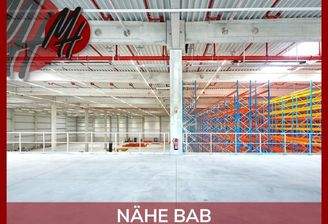 INFOS UNTER: 06171-586000