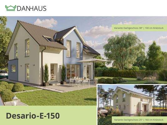 DESARIO-E-150 Varianten