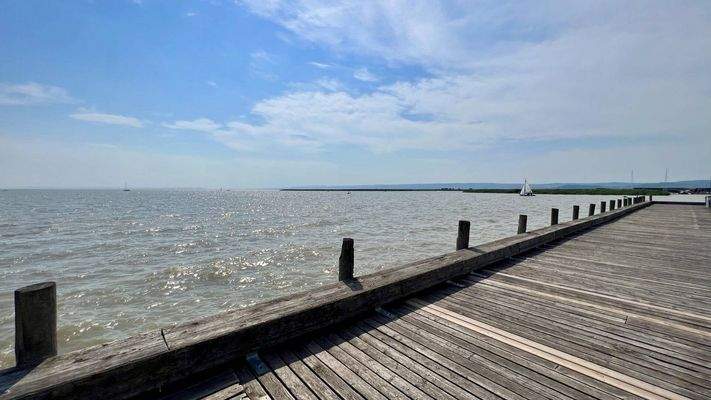 Umgebung - Neusiedler See