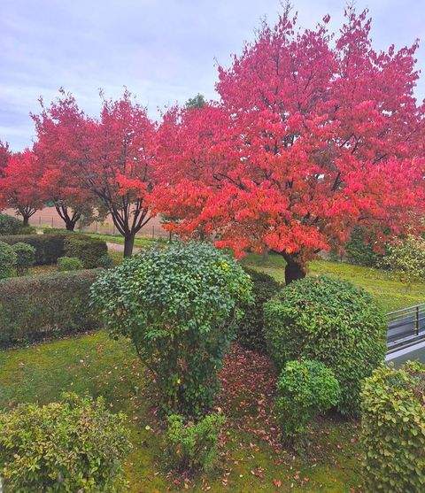 Fürstenfeldbruck Wohnungen, Fürstenfeldbruck Wohnung kaufen