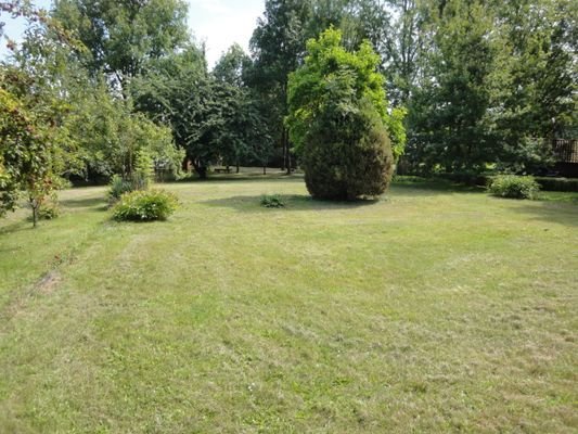 Obstwiese mit Baumbestand