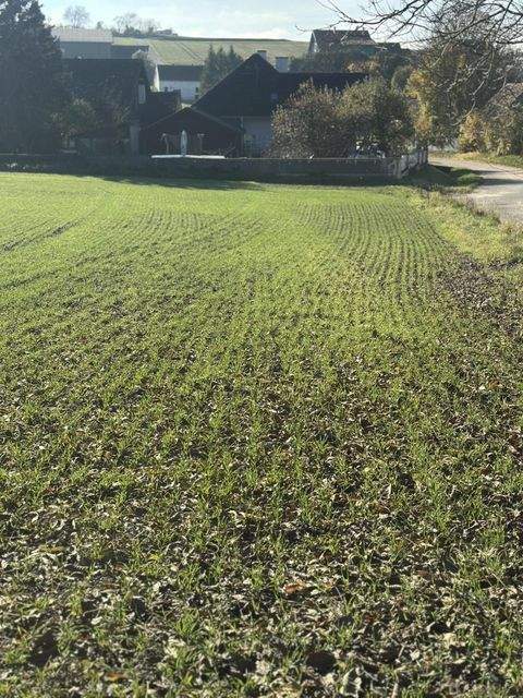 Ameisthal Grundstücke, Ameisthal Grundstück kaufen