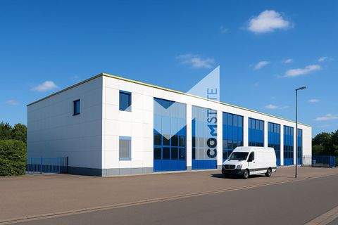 Köln Halle, Köln Hallenfläche