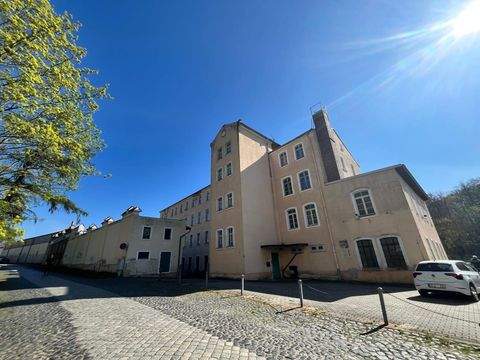 Görlitz Halle, Görlitz Hallenfläche