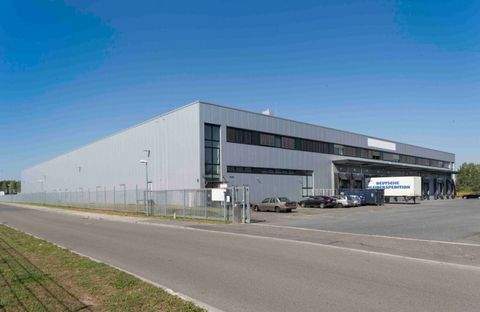 Berlin Halle, Berlin Hallenfläche