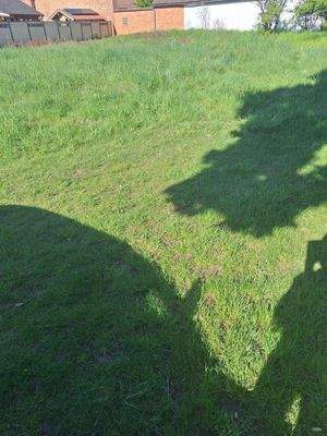 Blick auf das Wohngrundstück 