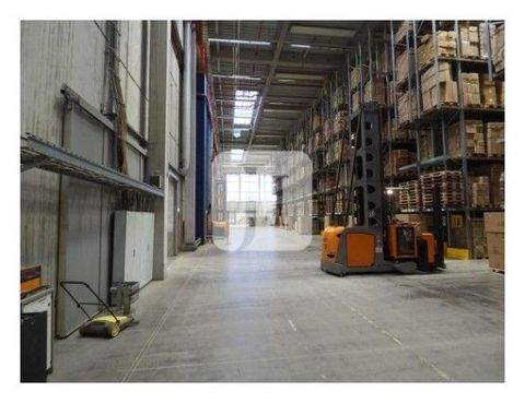 Bremen Halle, Bremen Hallenfläche