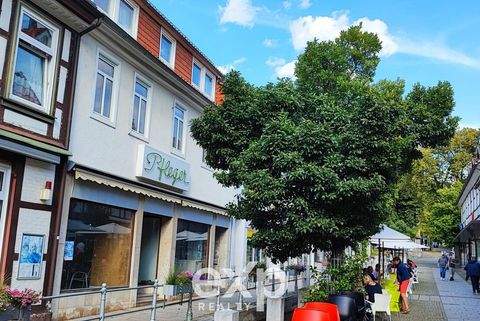 Alfeld (Leine) Häuser, Alfeld (Leine) Haus kaufen