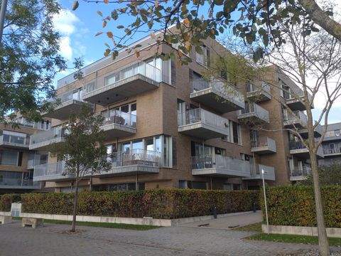 Bremen Wohnungen, Bremen Wohnung mieten