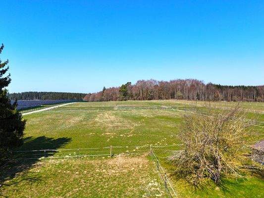 Weitläufige Pferdekoppel
