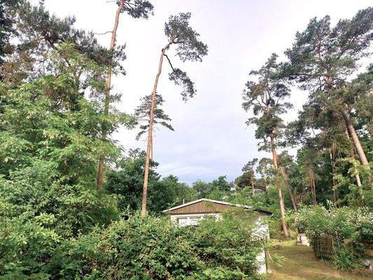 Eingang aus Richtung Seeufer 