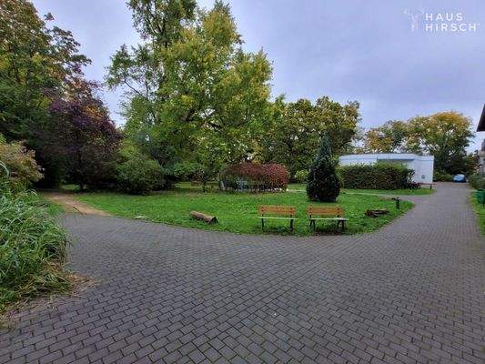 20251007_120116_resized