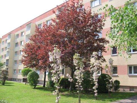 Borna Wohnungen, Borna Wohnung mieten