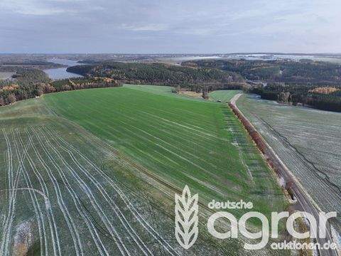 Zeulenroda-Triebes Bauernhöfe, Landwirtschaft, Zeulenroda-Triebes Forstwirtschaft