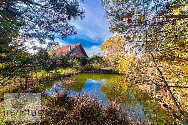 Aussenbereich + Grundstück