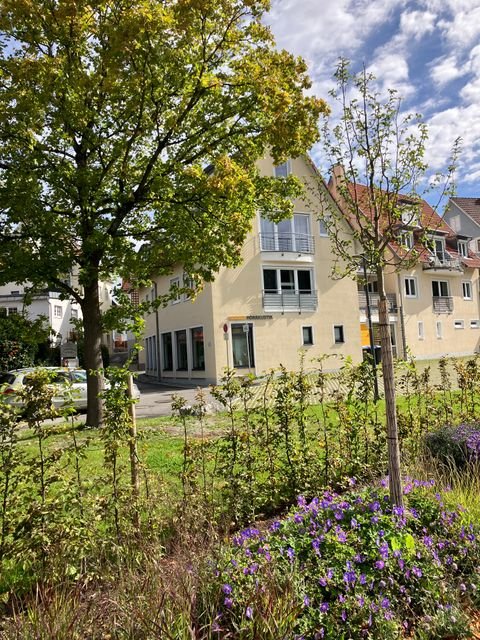 Bad Waldsee Wohnungen, Bad Waldsee Wohnung mieten