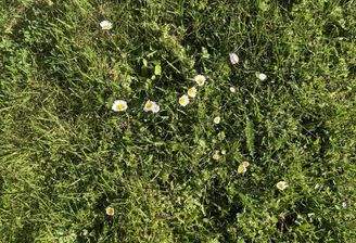 Natur pur - Ihr Traum