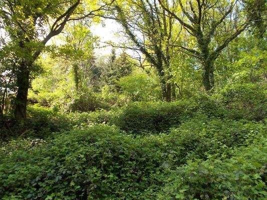 durch das Grundtsück