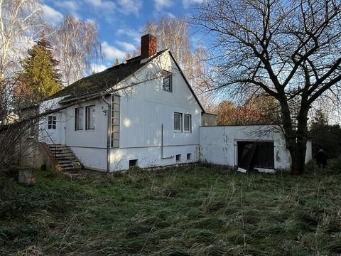 Grimma Häuser, Grimma Haus kaufen