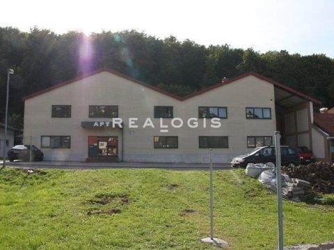 Eisingen Halle, Eisingen Hallenfläche