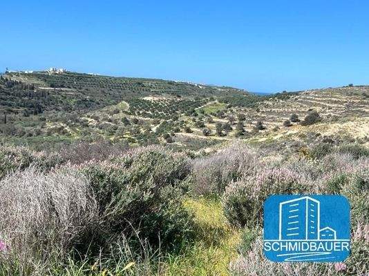 Kreta, Pitsidia: Grundstück am Ortsrand zu verkaufen