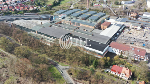 Mansfeld Halle, Mansfeld Hallenfläche