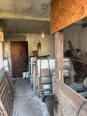 IMG_6176 - Kopie.jpg