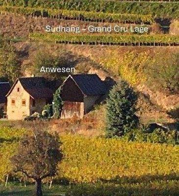 Bildschirmfoto 2025-09-03 um 09.00.39.jpg