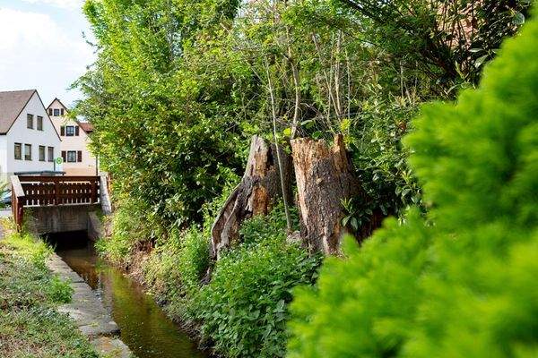 Hier gibt es vieles zu entdecken