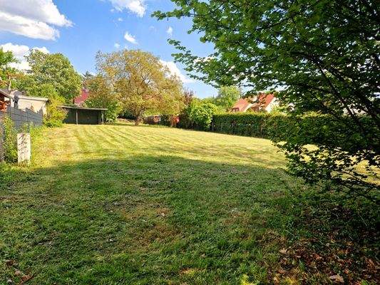 WhatsApp Bild 2025-05-07 um 18.26.19_53b14de0.jpg