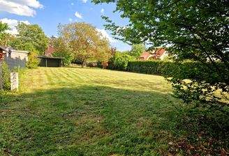 WhatsApp Bild 2025-05-07 um 18.26.19_53b14de0.jpg