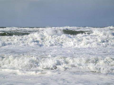 Bern Häuser, Bern Haus kaufen