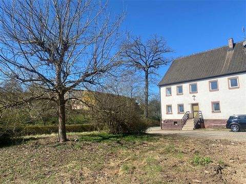 Neunkirchen a. Brand Häuser, Neunkirchen a. Brand Haus kaufen