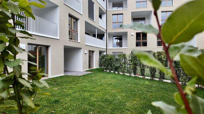 dji_mimo_20260109_094858_20260109094859_1769079933925_photo