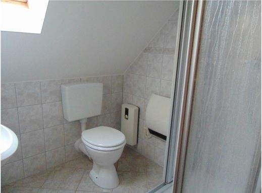 WE1 - DG Tageslicht Duschbad