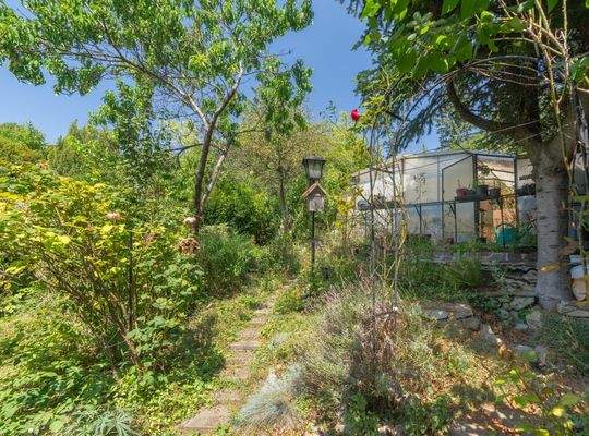 Wildromantischer Garten