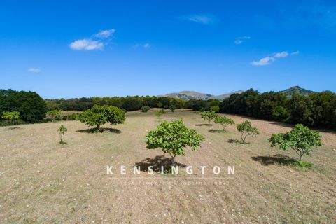 Artá Grundstücke, Artá Grundstück kaufen