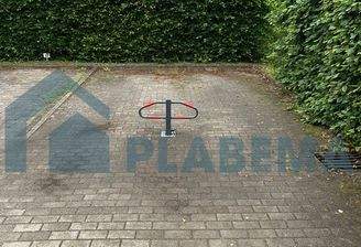 Rotbuchenring 11-15_1