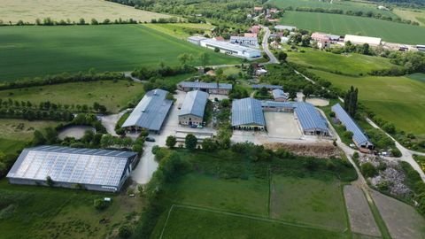 Mechelroda Bauernhöfe, Landwirtschaft, Mechelroda Forstwirtschaft