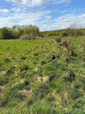 Blick auf das Grundstück 