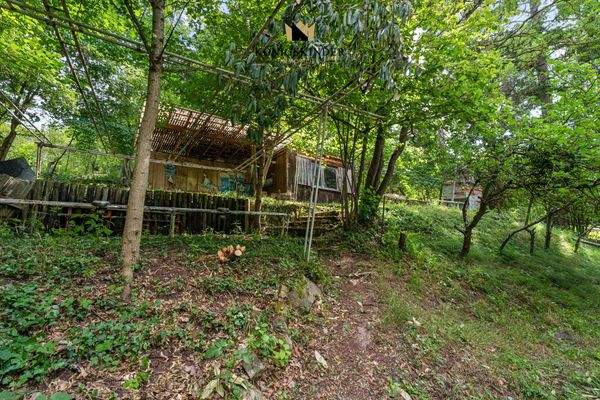 Baufenster am aussichtsreichen oberen Grundstücksende