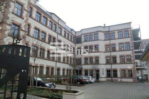 Nürnberg Halle, Nürnberg Hallenfläche