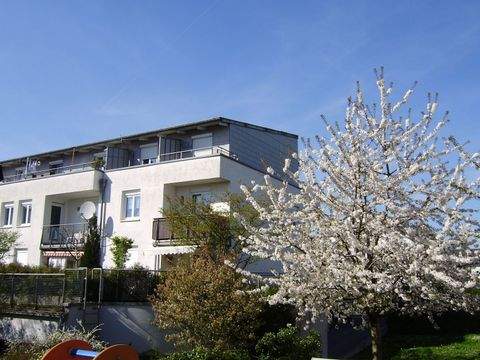 Düsseldorf Wohnungen, Düsseldorf Wohnung mieten